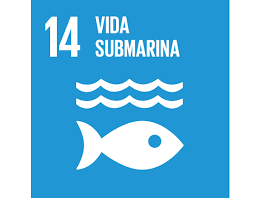 ODS Vida Submarina
