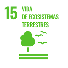 ODS 15 Vida y Ecosistemas Terrestres