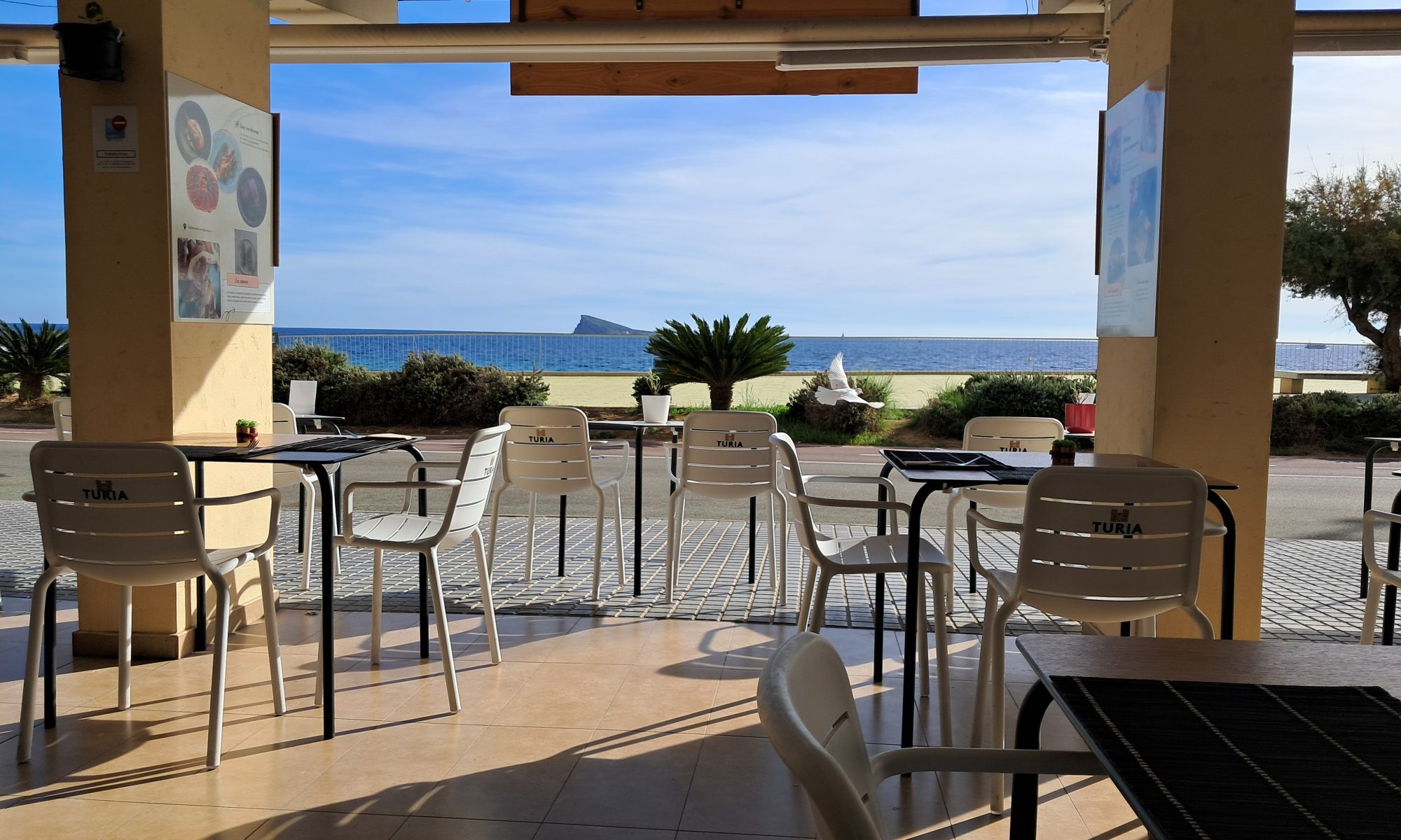 Shija Balcanes vista de la isla de Benidorm